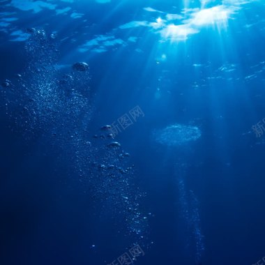海底世界水下摄影摄影图片