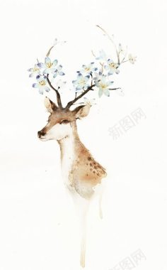手绘插画唯美遇见鹿背景