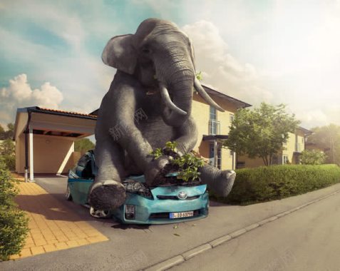 创意元素合成效果大象压住汽车房子背景