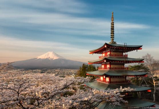 日本阁楼樱花海报背景背景