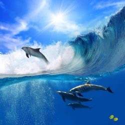 海洋海浪海洋生物背景高清图片