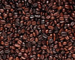 咖啡豆正面摄影图质感摄影图片