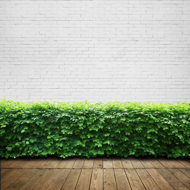 小清新砖墙背景与绿叶jpg设计背景_新图网 https://ixintu.com 清新 砖墙 素材 绿叶 绿植 木质板小路 背景