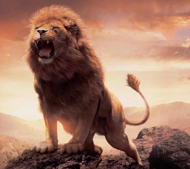 蓝天阳光下的怒吼的狮子jpg设计背景_新图网 https://ixintu.com 怒吼 狮子 蓝天 阳光