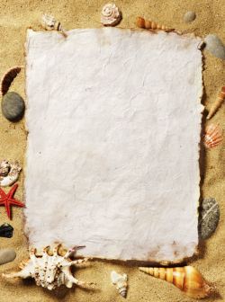 海螺大海沙滩纸张高清图片