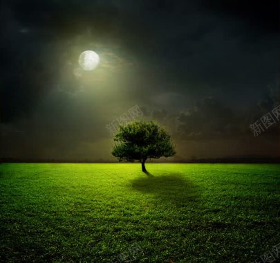 夜景霓虹灯草原树木月亮风景背景