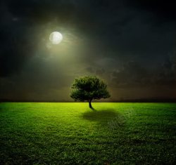 美丽月亮草原树木月亮风景高清图片