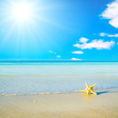 沙滩阳光白天蓝天海星背景