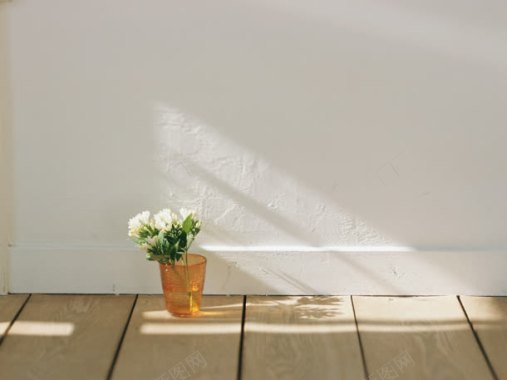 室内一角木地板白色墙壁小盆栽背景