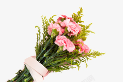 拿束鲜花的妇女一束粉红康乃馨花卉花束高清图片