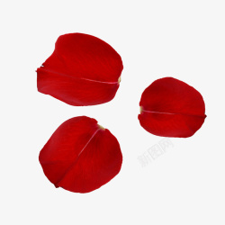 七夕节装饰素材七夕节红色玫瑰花瓣高清图片