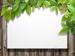 创意兰花绿叶相框叶子与木板背景高清图片