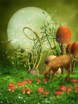 草地仙境环境童话里的森林高清图片