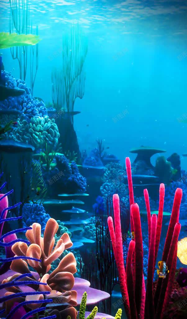 纯净海底世界蓝色jpg设计背景_新图网 https://ixintu.com 世界 海底 纯净 蓝色