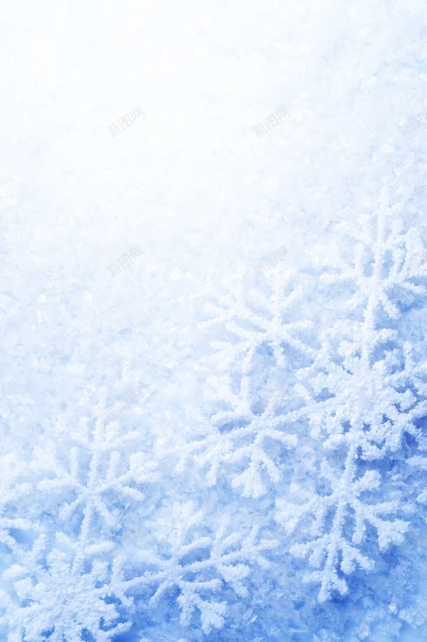 白色调背景冬天雪花背景图片免费下载 素材7yjkkvgka 新图网 白色调背景冬天雪花背景图片免费下载 素材7yjkkvgka 新图网