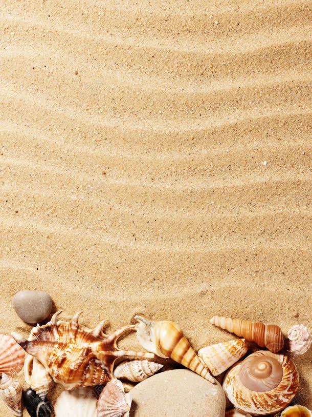 沙子磨砂条纹背景jpg设计背景_新图网 https://ixintu.com 条纹 沙子 沙滩 海螺 贝壳集合 背景