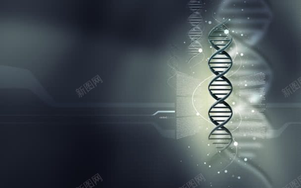 DNA分子细胞组合背景