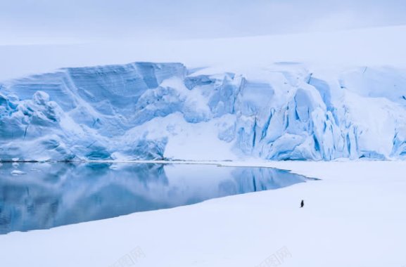 南极雪山冰面企鹅背影图背景