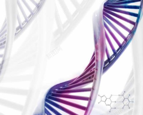 紫色螺旋基因海报背景背景