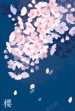 白色樱花手绘白色樱花花朵海报背景高清图片