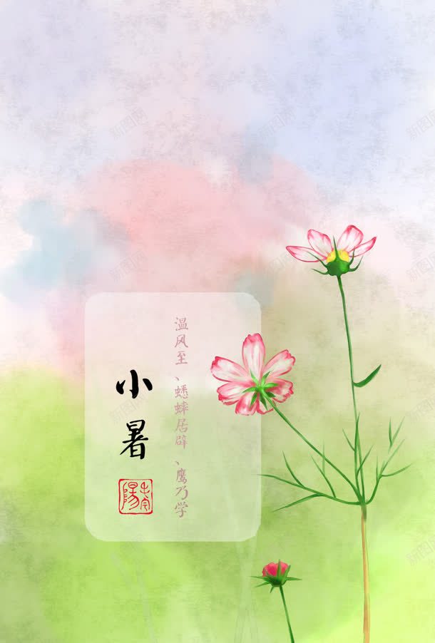 粉折色小花节气小暑jpg设计背景_新图网 https://ixintu.com 小暑 节气