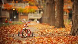 秋天落叶林里的自行车玩具海报背景背景