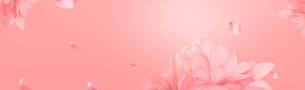 唯美粉色花朵背景jpg设计背景_新图网 https://ixintu.com 优雅  宁花 花瓣 粉红色背景 女装背景 美女 美容 美容海报 