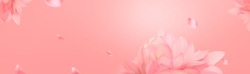 红色美容广告语唯美粉色花朵背景高清图片