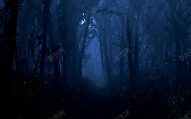 夜晚安静恐怖诡异树林背景