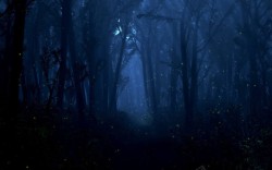 安静夜晚装饰画夜晚安静恐怖诡异树林高清图片