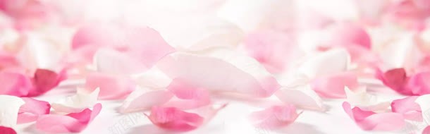 浪漫粉色白色花瓣jpg设计背景_新图网 https://ixintu.com 浪漫 白色 粉色 花瓣