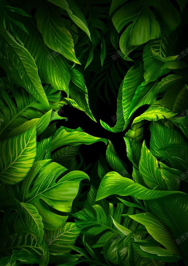 神秘绿色植物树叶卡通jpg高清背景_新图网 https://ixintu.com 卡通 树叶 神秘 绿色植物