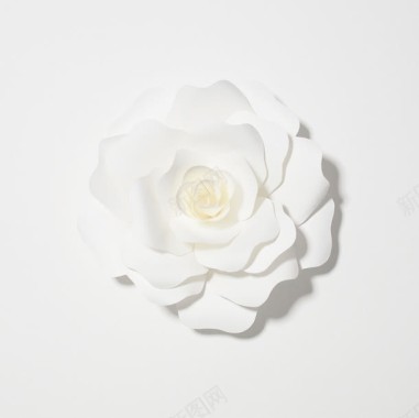 白色重叠花瓣海报背景花卉背景