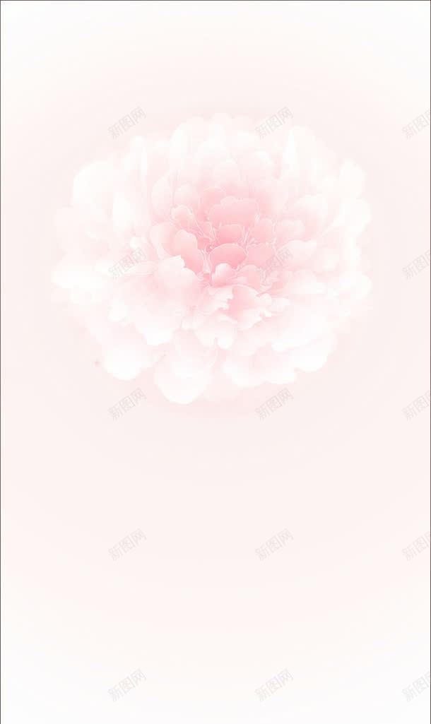 水彩手绘粉色花朵jpg设计背景_新图网 https://ixintu.com 水彩 粉色 花朵