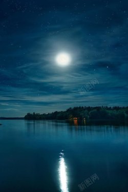 黑色夜空月光树林海报背景背景