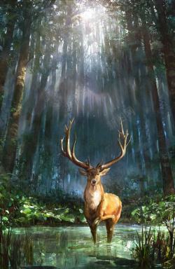 茂密的森林茂密森林大角麋鹿海报背景高清图片