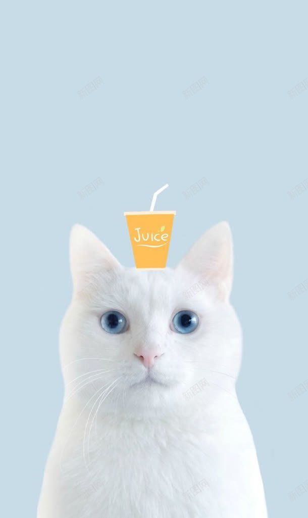 白色小猫头上的果汁jpg设计背景_新图网 https://ixintu.com 果汁 白色