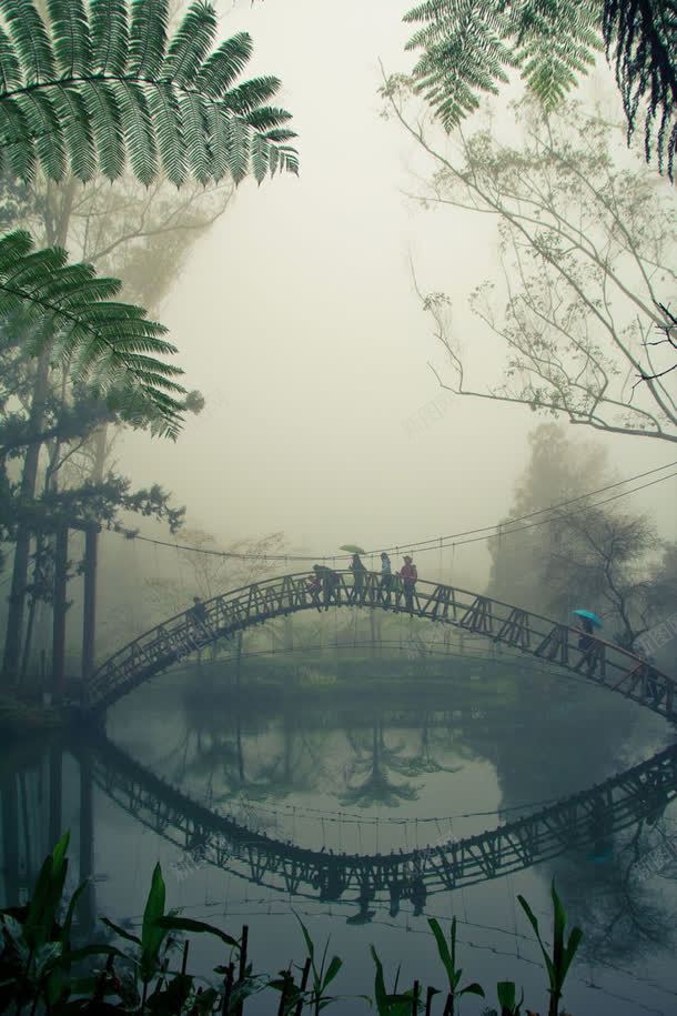 迷雾里的小桥植物jpg设计背景_新图网 https://ixintu.com 小桥 植物 迷雾