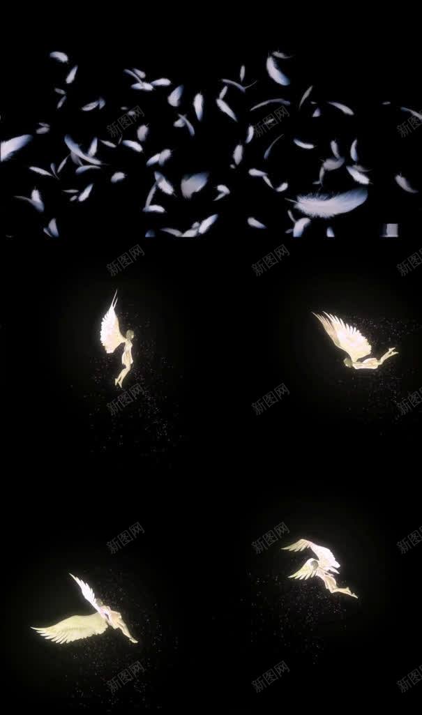 漂浮空中羽毛壁纸jpg设计背景_新图网 https://ixintu.com 动态壁纸素材 壁纸 漂浮 空中 系统壁纸 羽毛