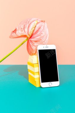 粉色背景上的花朵手机背景
