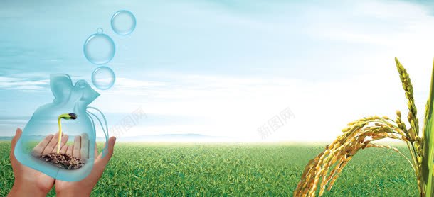 农业农作物稻米希望发芽背景bannerjpg设计背景_新图网 https://ixintu.com banner 农业 农作物 发芽 希望 稻米 背景