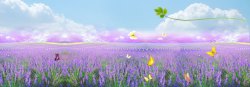 紫色花园紫色梦幻花园淘宝海报背景高清图片
