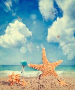 夏日花边沙滩上的海星和风车高清图片
