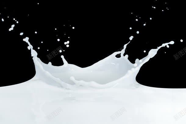 白色牛奶奶花jpg设计背景_新图网 https://ixintu.com 其他类别 其它类别 图片素材 奶花 牛奶 白色 白色牛奶奶花图片 白色牛奶奶花图片素材下载 背景花边 食物 饮料