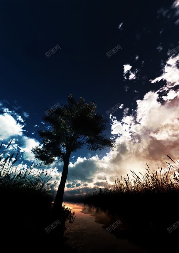 黑色天空白云效果树木摄影风格jpg设计背景_新图网 https://ixintu.com 天空 摄影 效果 树木 白云 风格 黑色