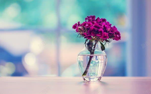 景深效果紫色花朵桌面窗户背景jpg设计背景_新图网 https://ixintu.com 效果 景深 桌面 窗户 紫色 背景 花朵