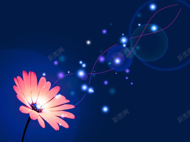 光点光斑小花花朵jpg设计背景_新图网 https://ixintu.com 光斑 花朵