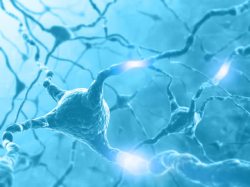 细胞神经图片素材下载神经系统背景高清图片