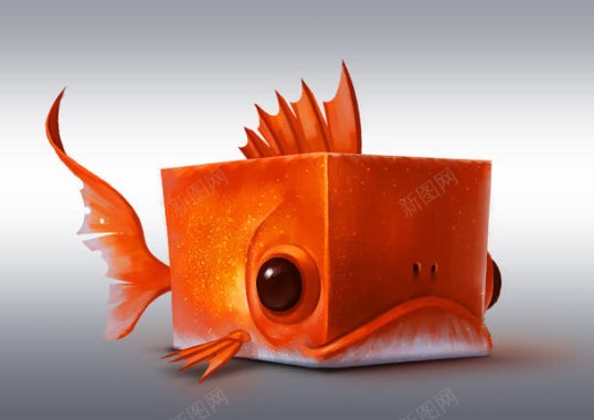 方形金鱼鱼头摄影背景