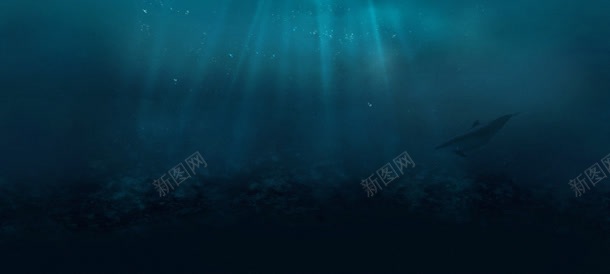 蓝色海水深海下的动物jpg设计背景_新图网 https://ixintu.com 动物 海水 深海 蓝色